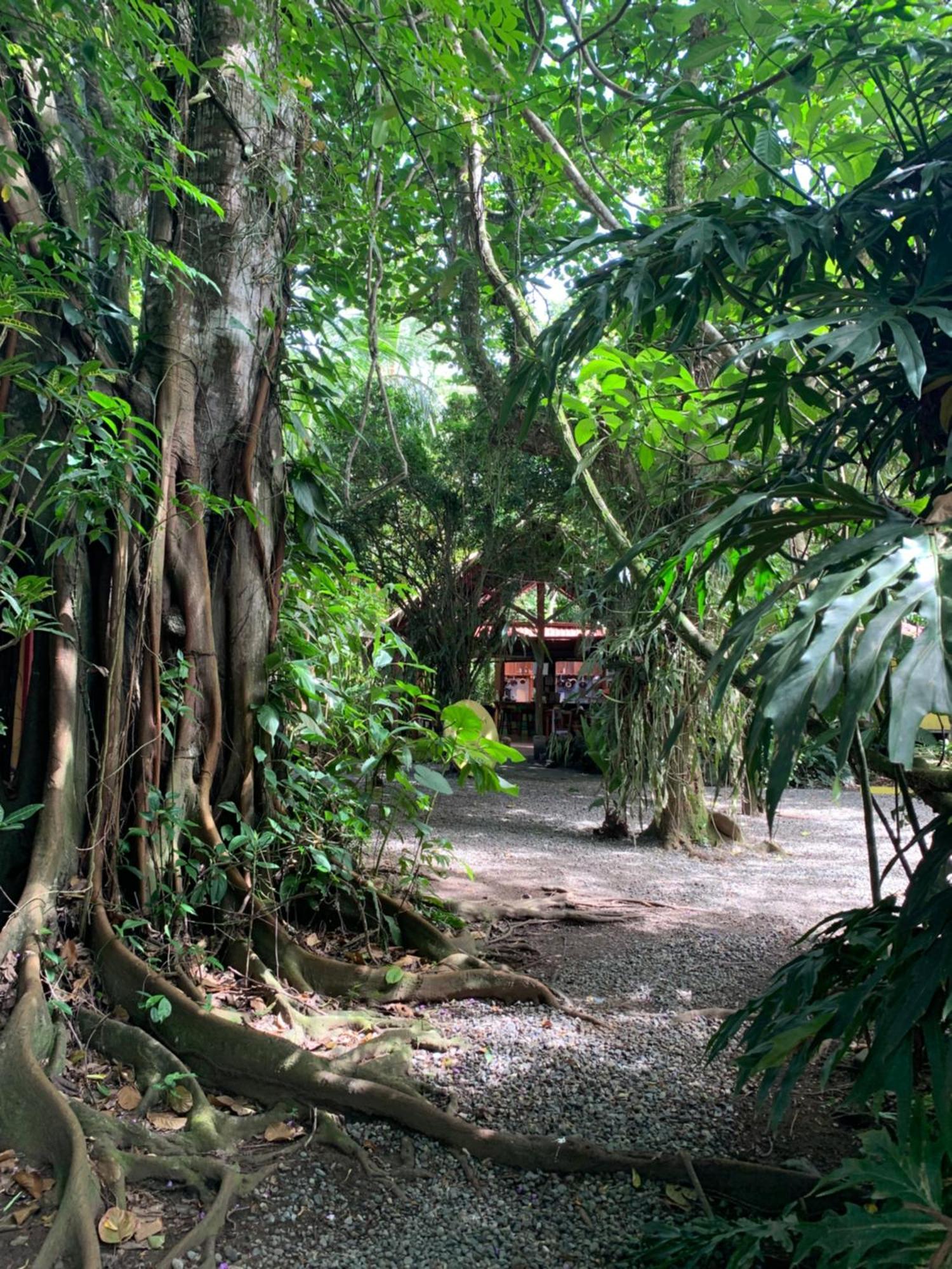 Brigitte'S Ranch Hotel กาอุยตา ภายนอก รูปภาพ