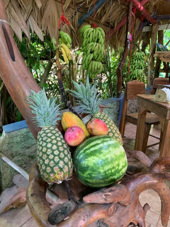 Brigitte'S Ranch Hotel กาอุยตา ภายนอก รูปภาพ